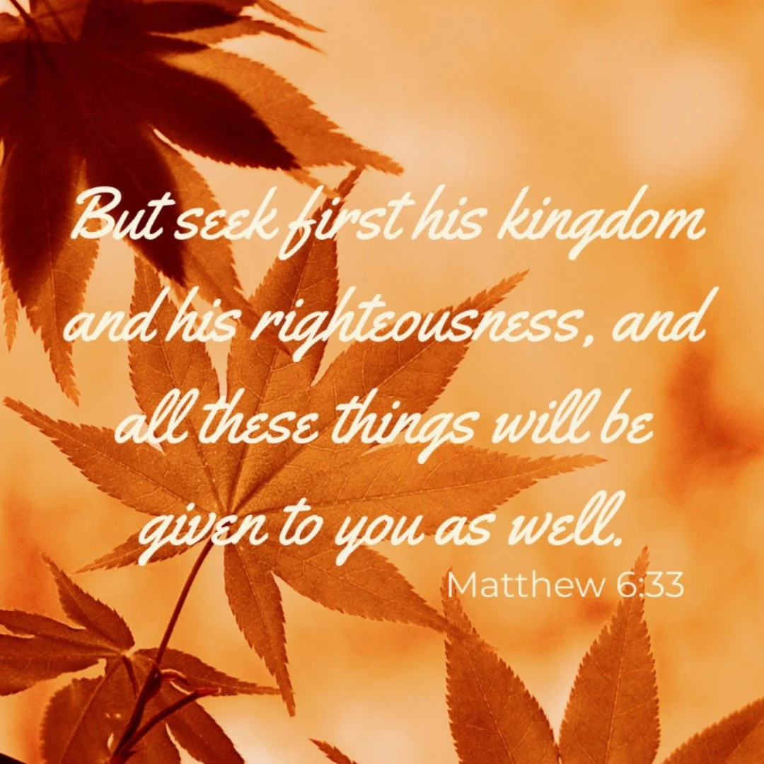 But seek first his kingdom and his righteousness, and all these things will be given to you as well. Matthew 6:33

#newim #newimconnects