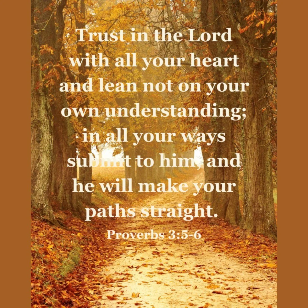 Trust in the Lord with all your heart and lean not on your own understanding; in all your ways submit to him, and he will make your paths straight. Proverbs 3:5-6

#newim #newimconnects