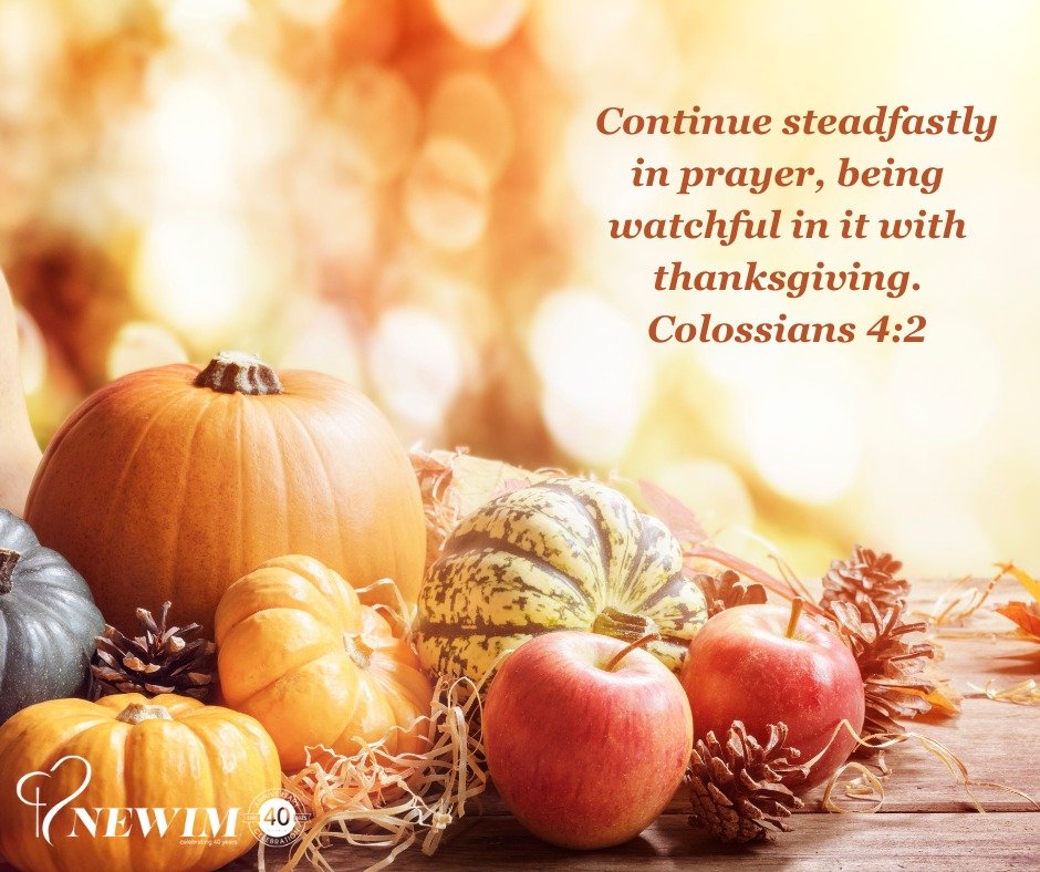 Continue steadfastly in prayer, being watchful in it with thanksgiving. Colossians 4:2

#newim #newimconnects #thanksgiving
