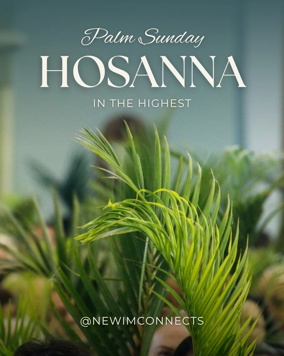 Palm Sunday.  Hosana in the highest.

#newim