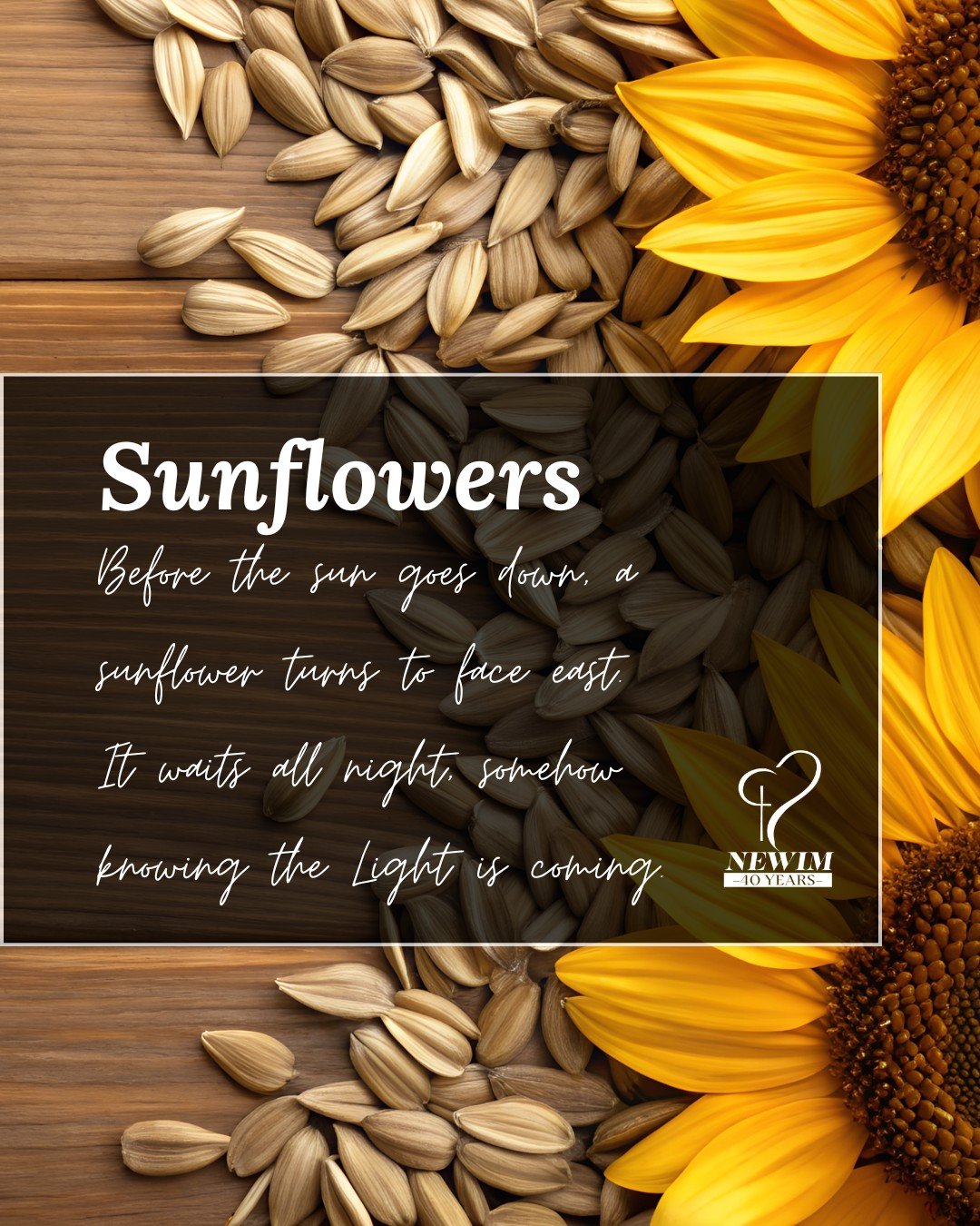 Before the sun goes down, a sunflower turns to face east. It waits all night, somehow knowing the Light is coming.

We have been watching this happen on retreat. Women arrive carrying the weight of ministry&mdash;expectations, loneliness, sometimes y