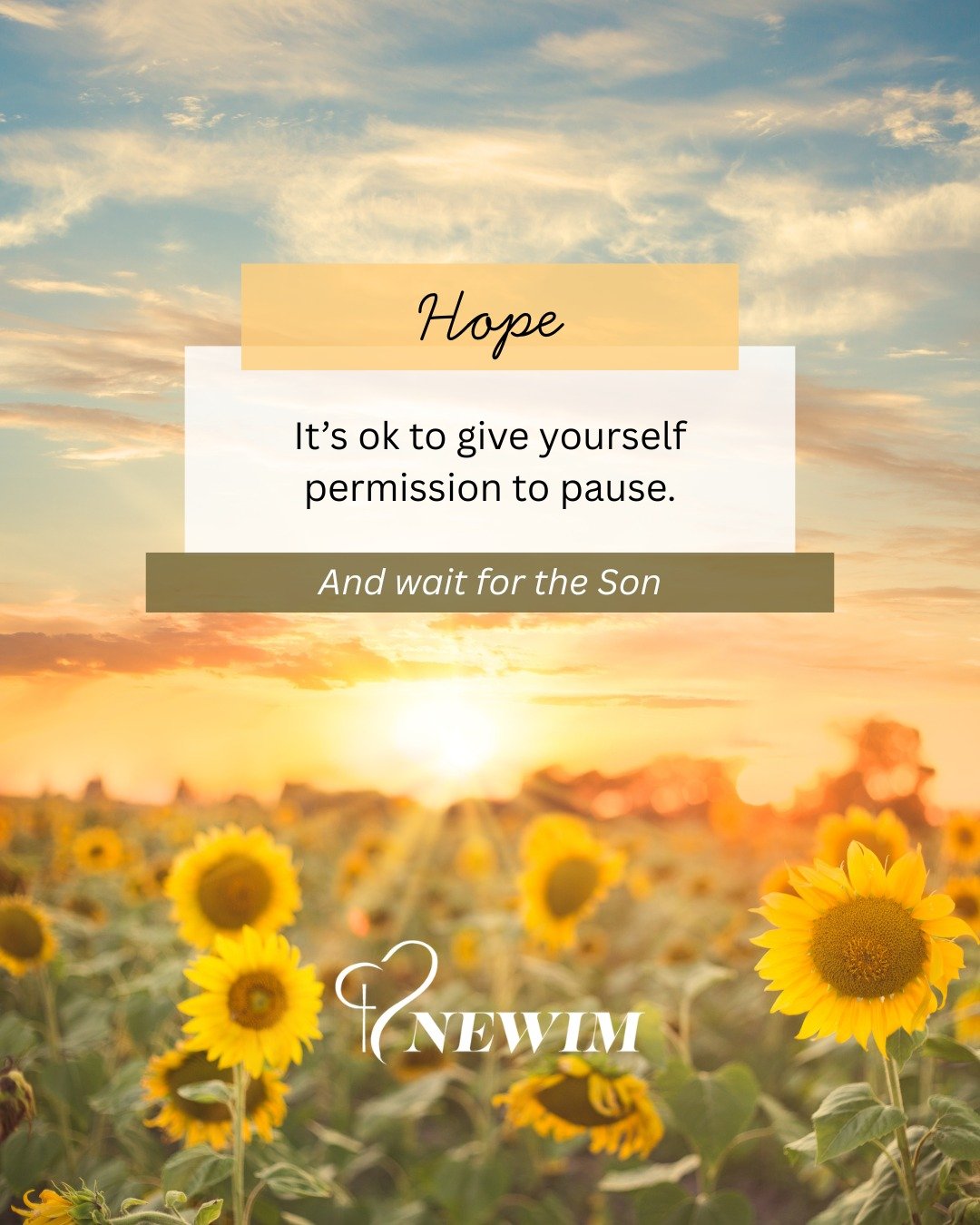 Before the sun goes down, a sunflower turns to face east. It waits all night, knowing the Light is coming.

Isn't that a picture of hope?

Even in your darkest season, may you find yourself turning toward the Light. He is coming. "Those who look
