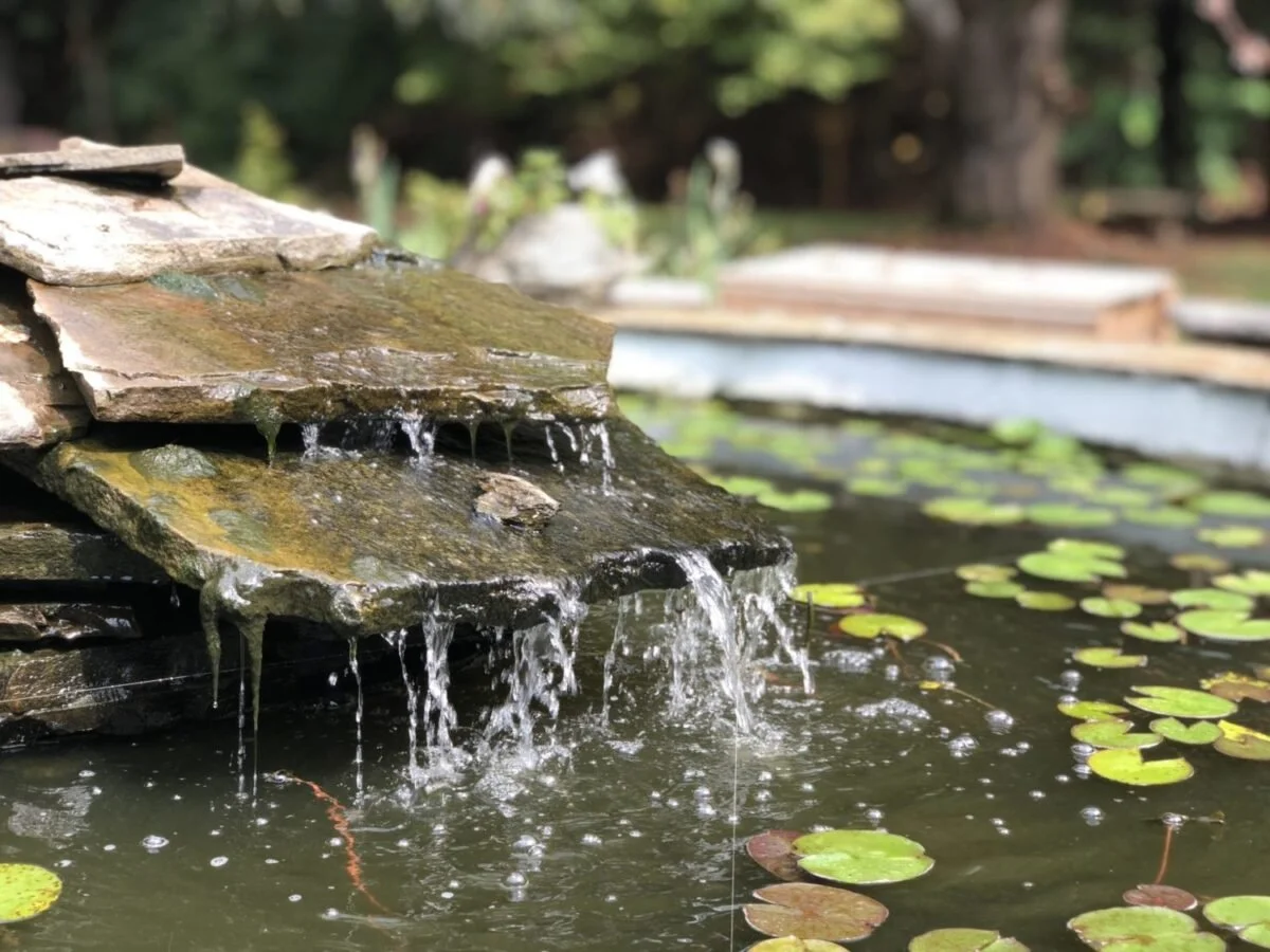 Pond-fountain-e1605634197637.jpg