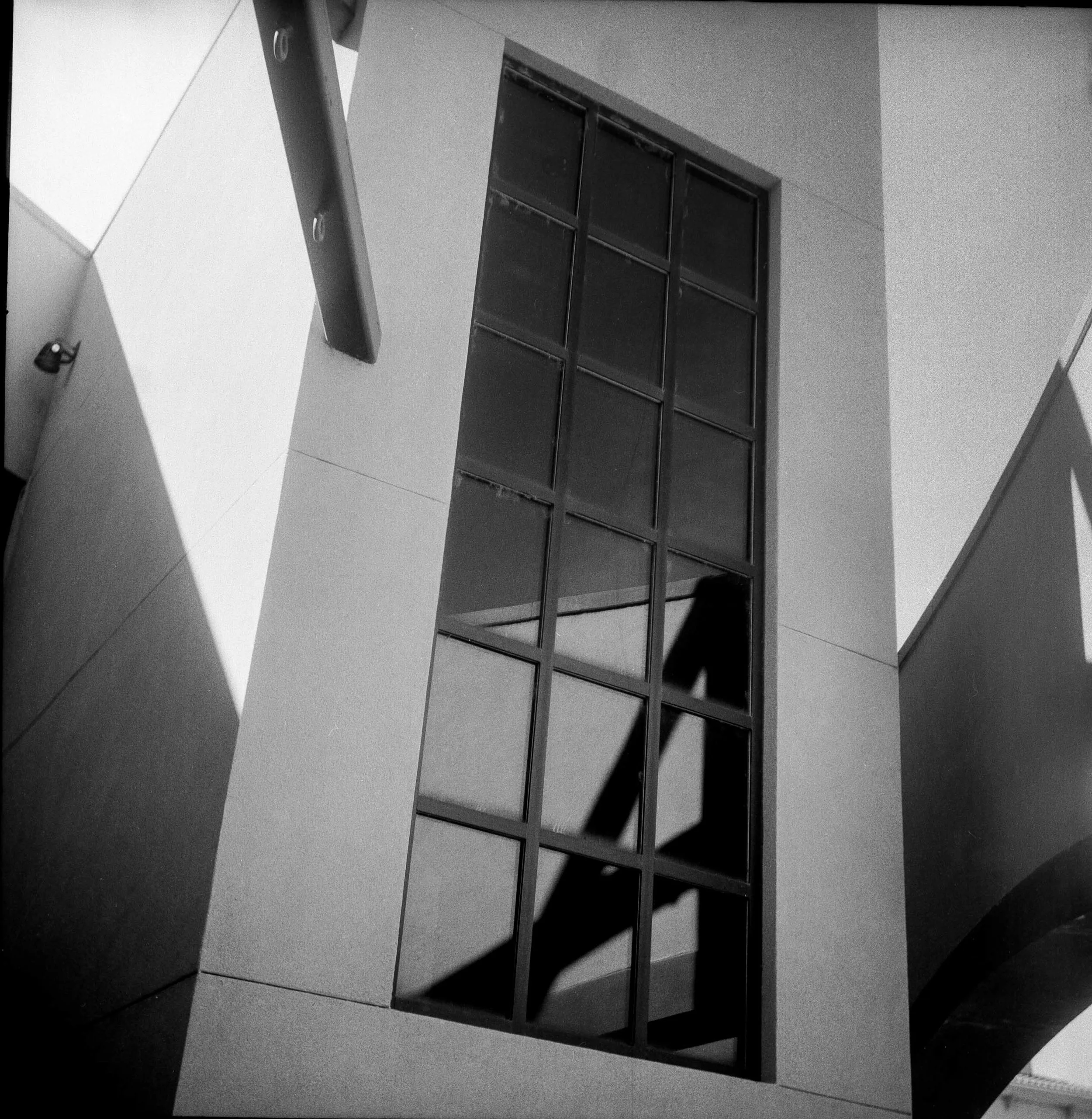 yashica_panF_2517_9.jpg