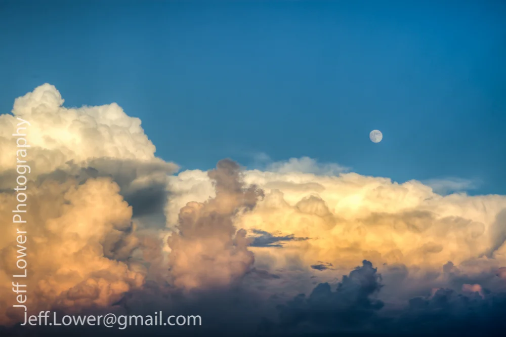 Roots2015_Lower-1-2.jpg