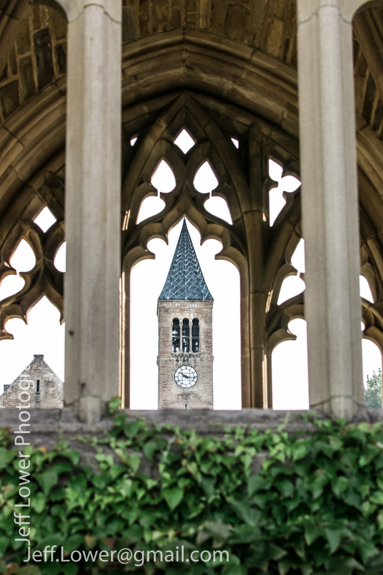 Fall Day Cornell_0045.jpg
