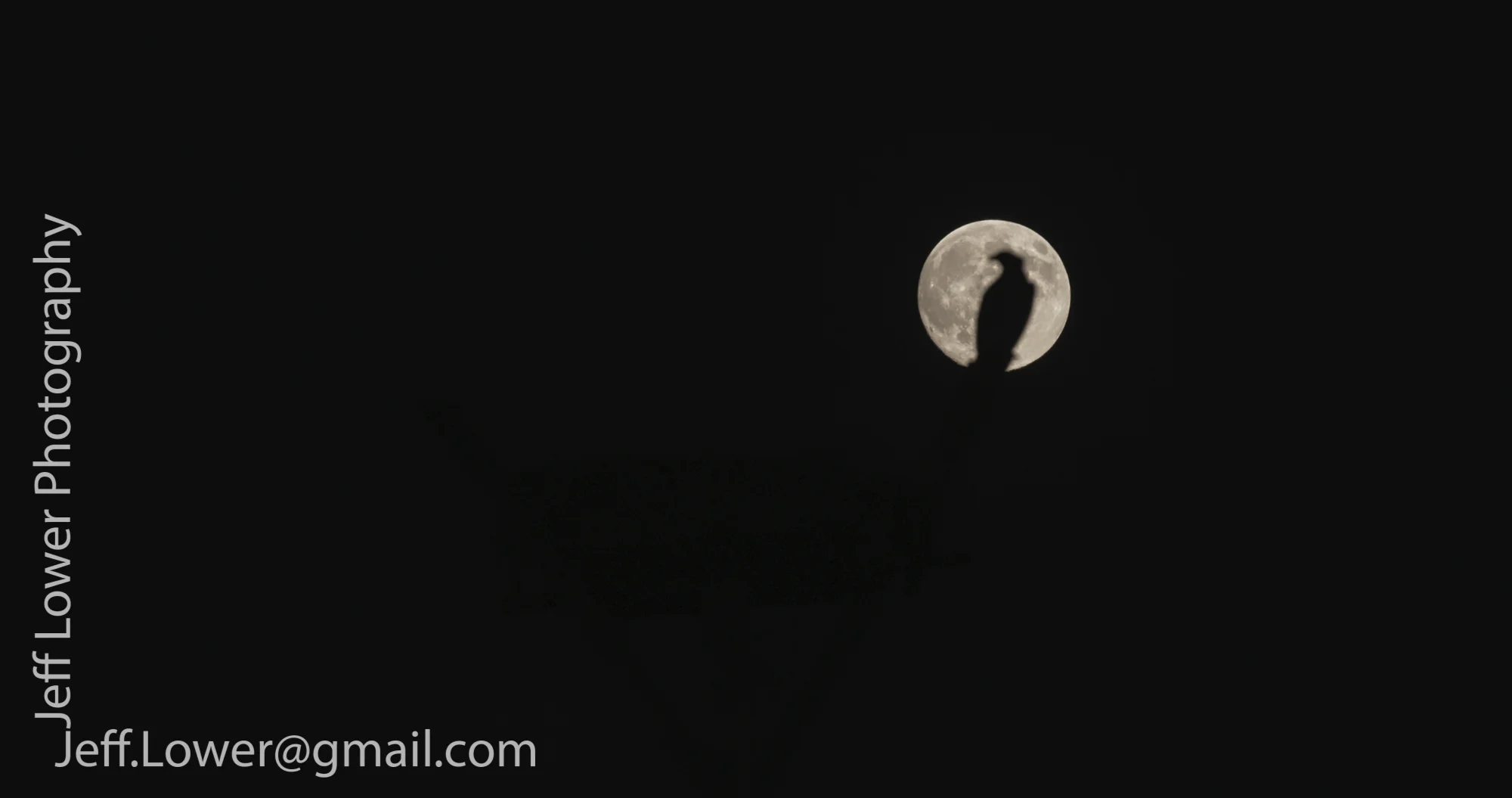 Osprey Moon.jpg