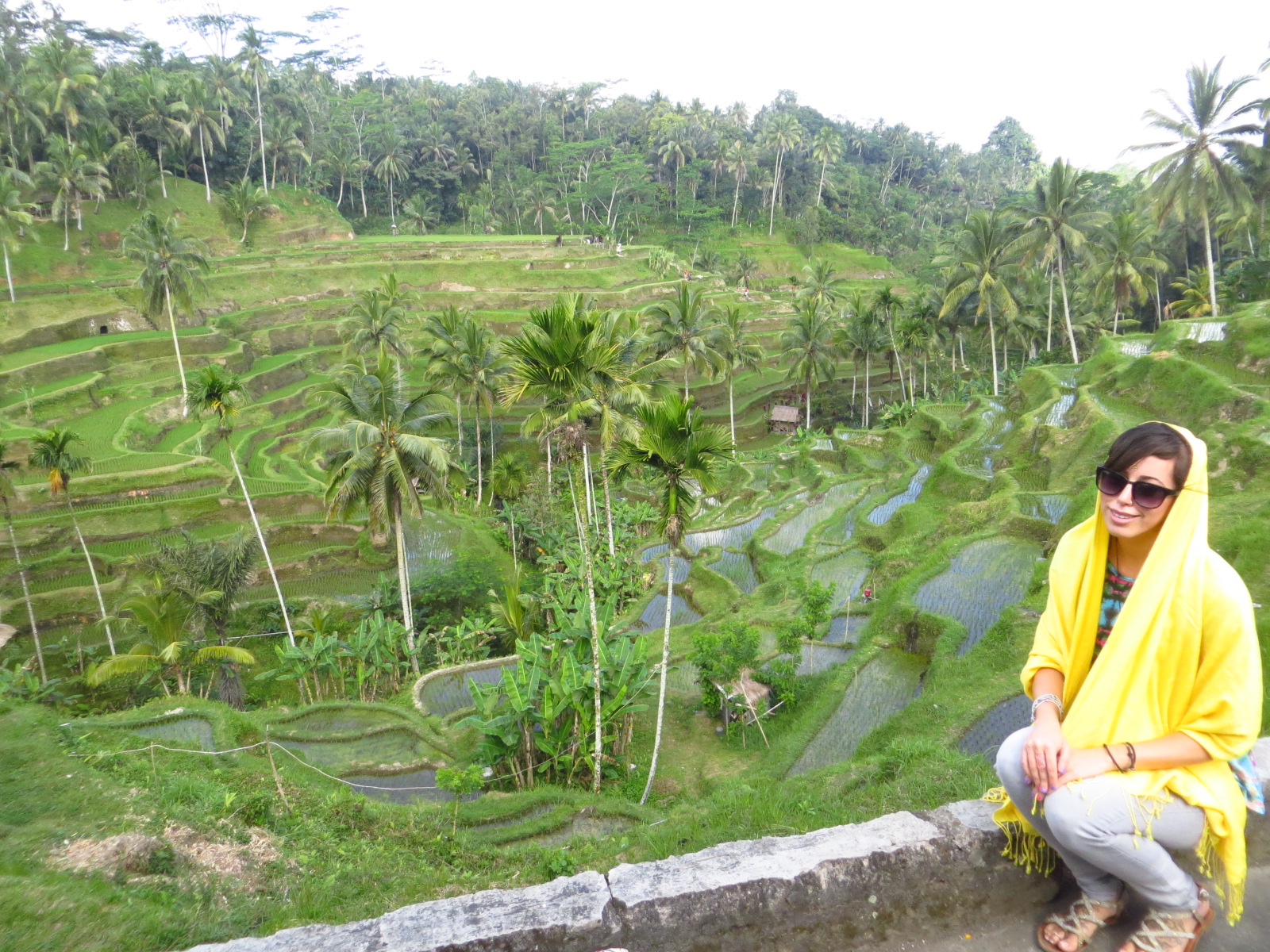 Rice_Terrace_Bali.jpeg