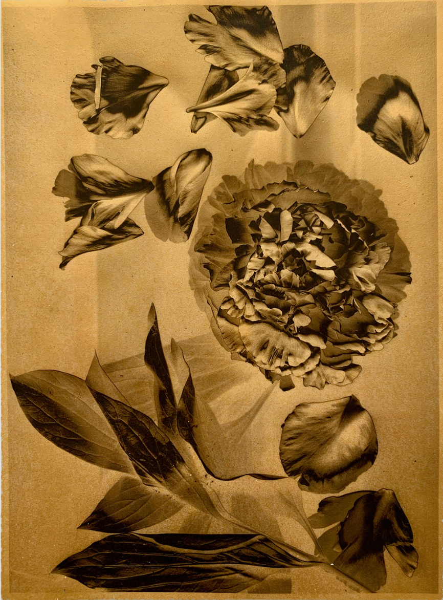 OTHER | Marcy Palmer | Photography | 1.png