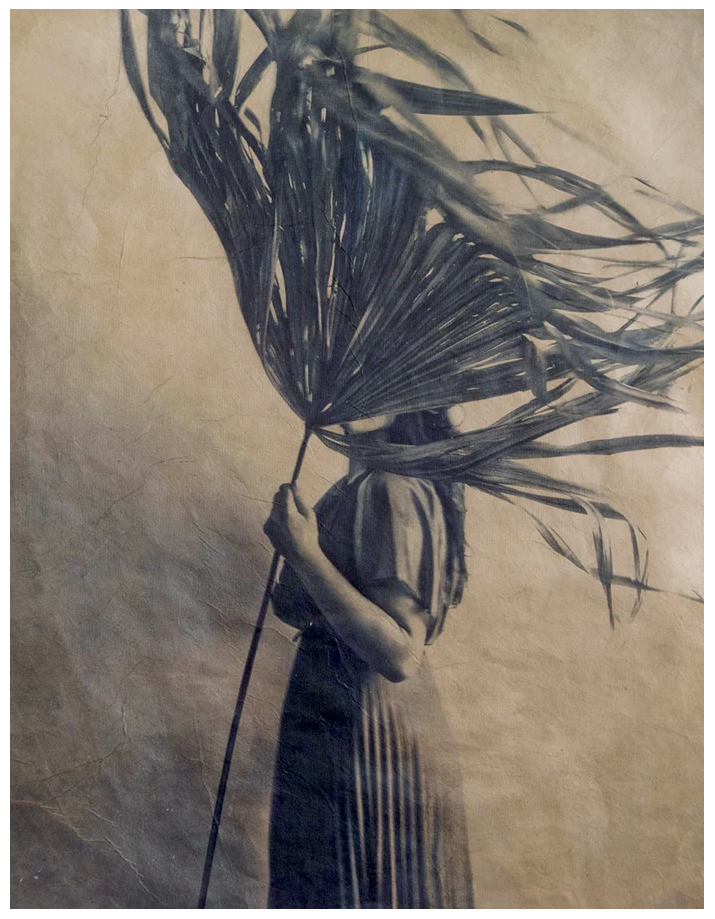 JAIME AELAVANTHARA_1.png