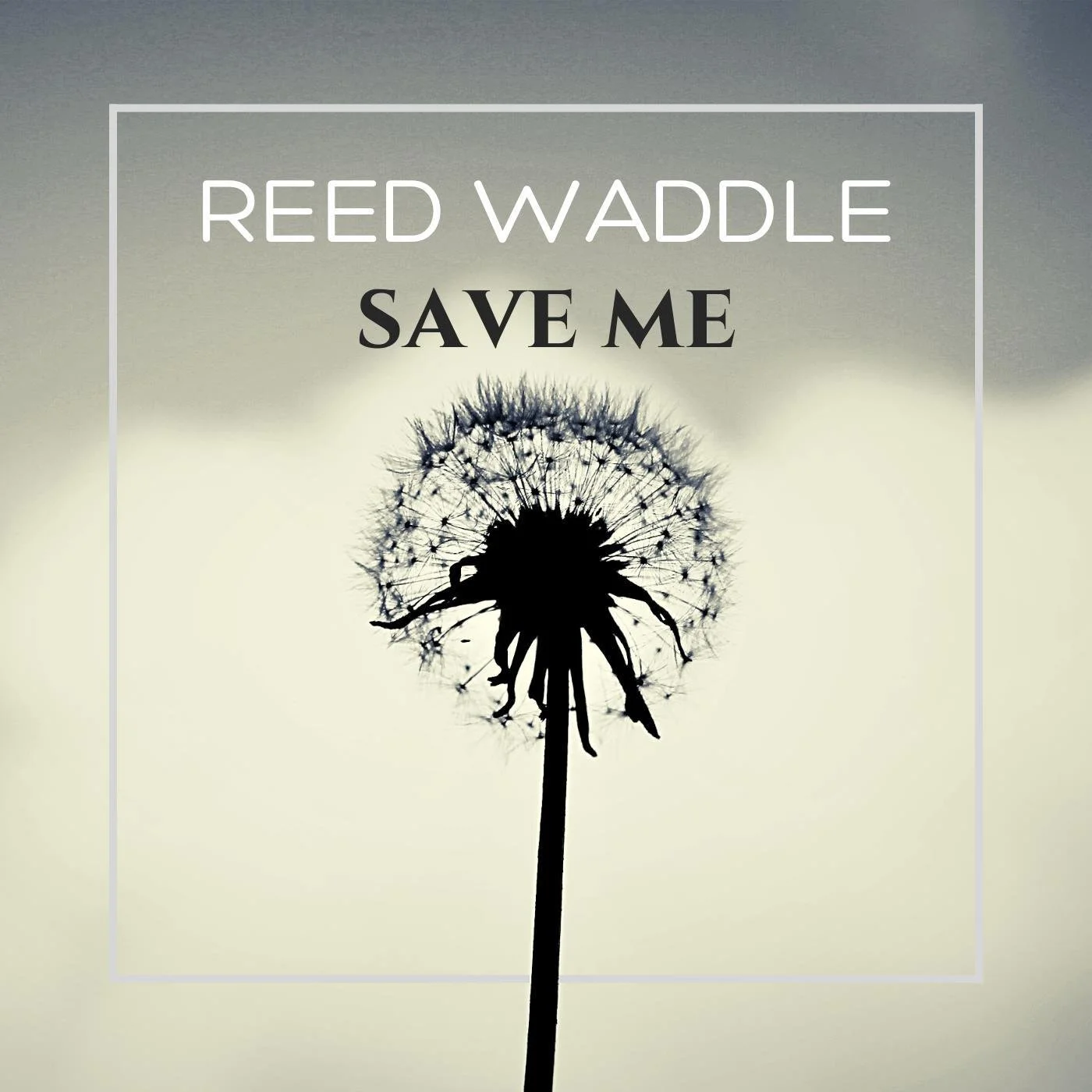 Reed Waddle | Song Writer Musician
