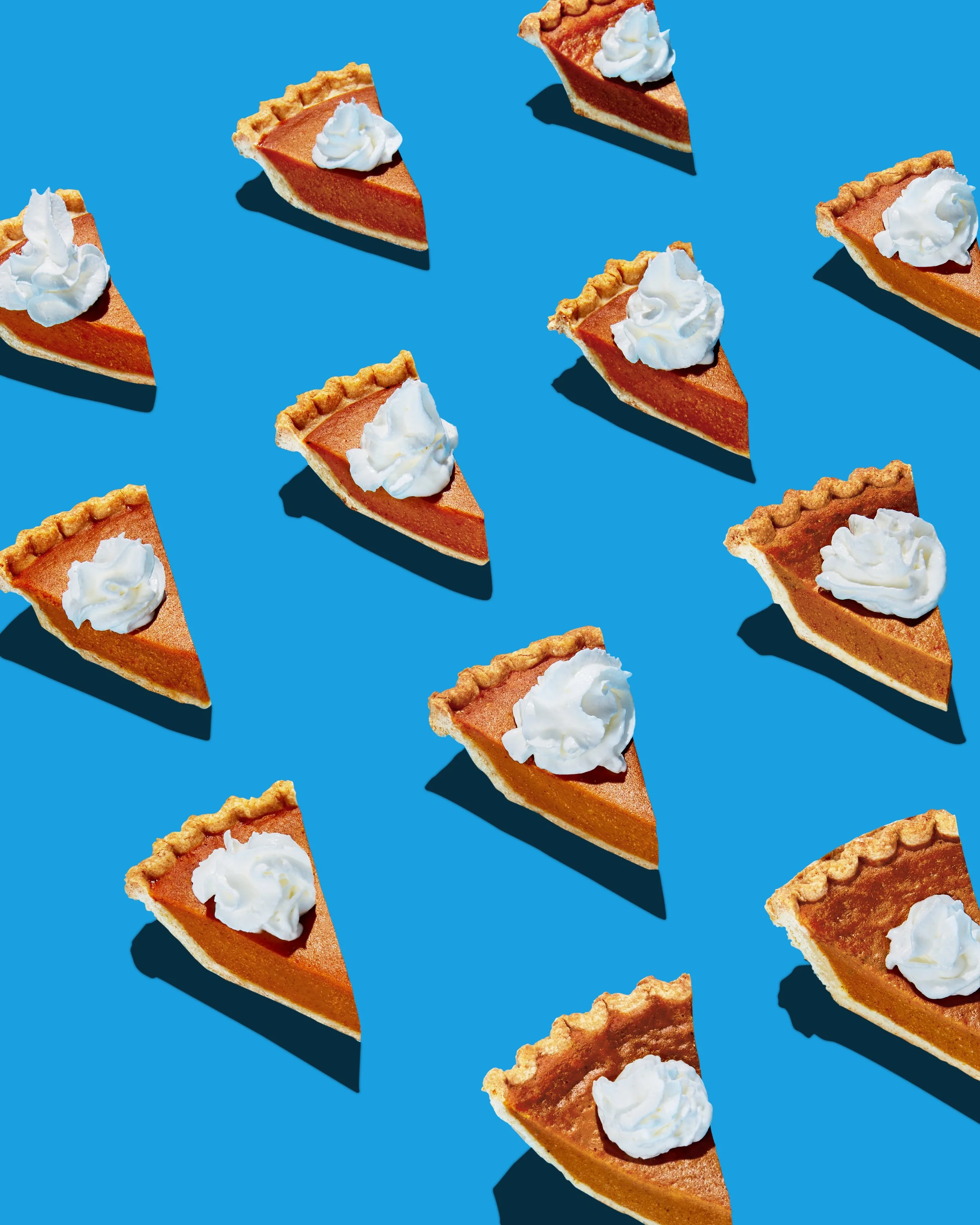 SH05_Pie Grid_423_MAIN.JPG