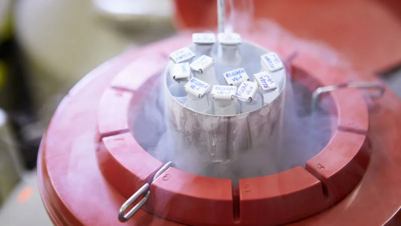 Say hello to your very own Winter Soldiers! (Frozen Sperm)