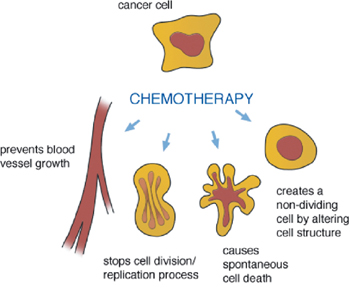 A handy guide to the basics of chemo from www.lymphoma.ca