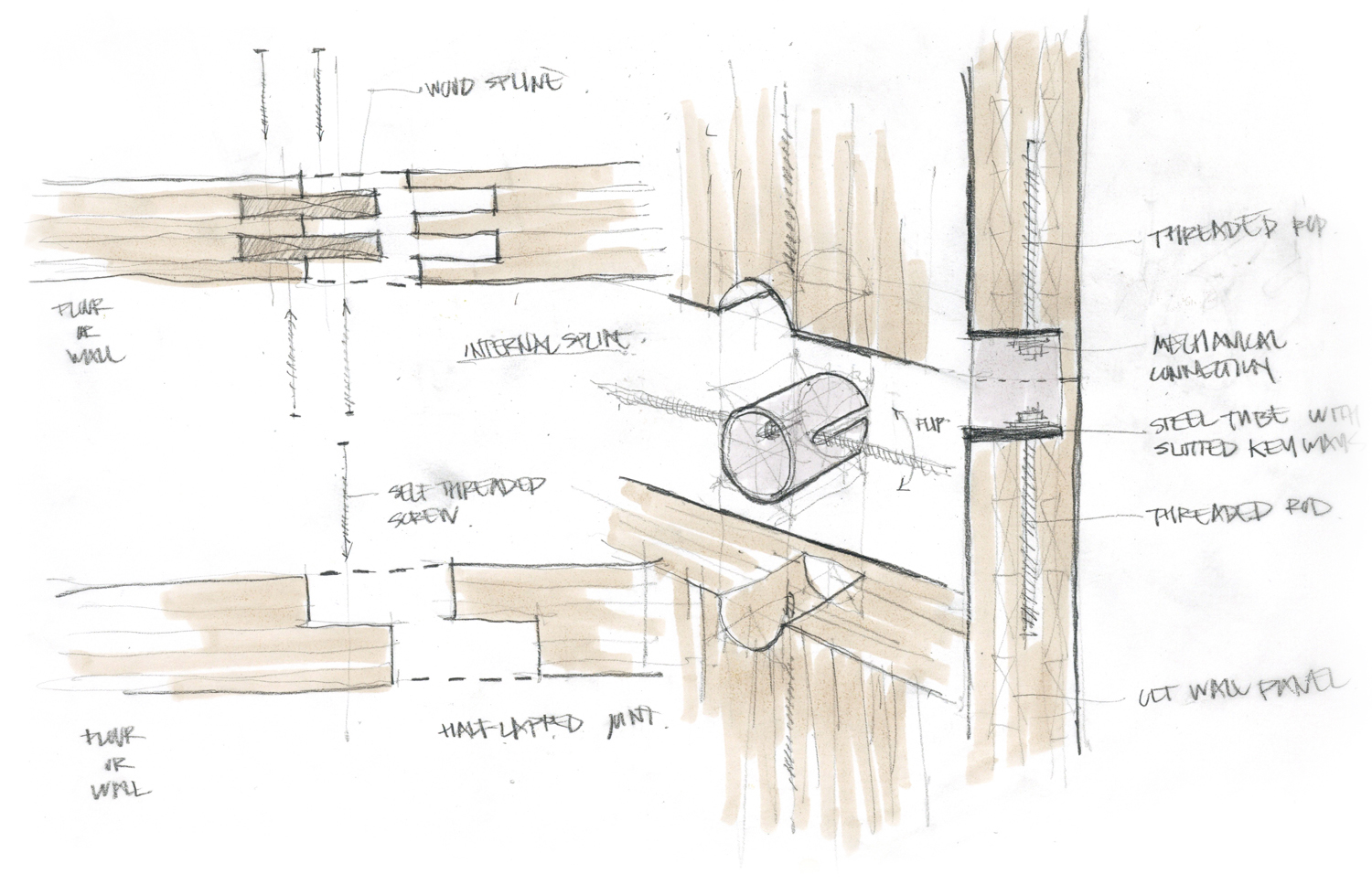 Structural Concept Sketch 02 / CLT Spline Studies
