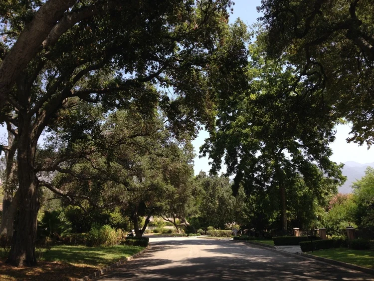 Arcadia+8-18-15+(1)[1].jpg