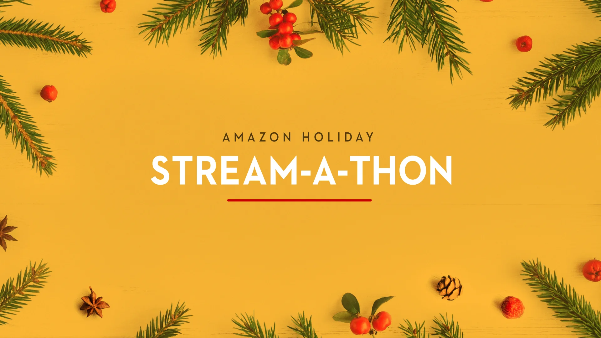 AMZ_30TV_GFX_Holiday_Plant_ac_01.jpg