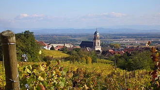 Saint-Hippolyte : une prévôté lorraine en Alsace, (XIe-XVIIIe)