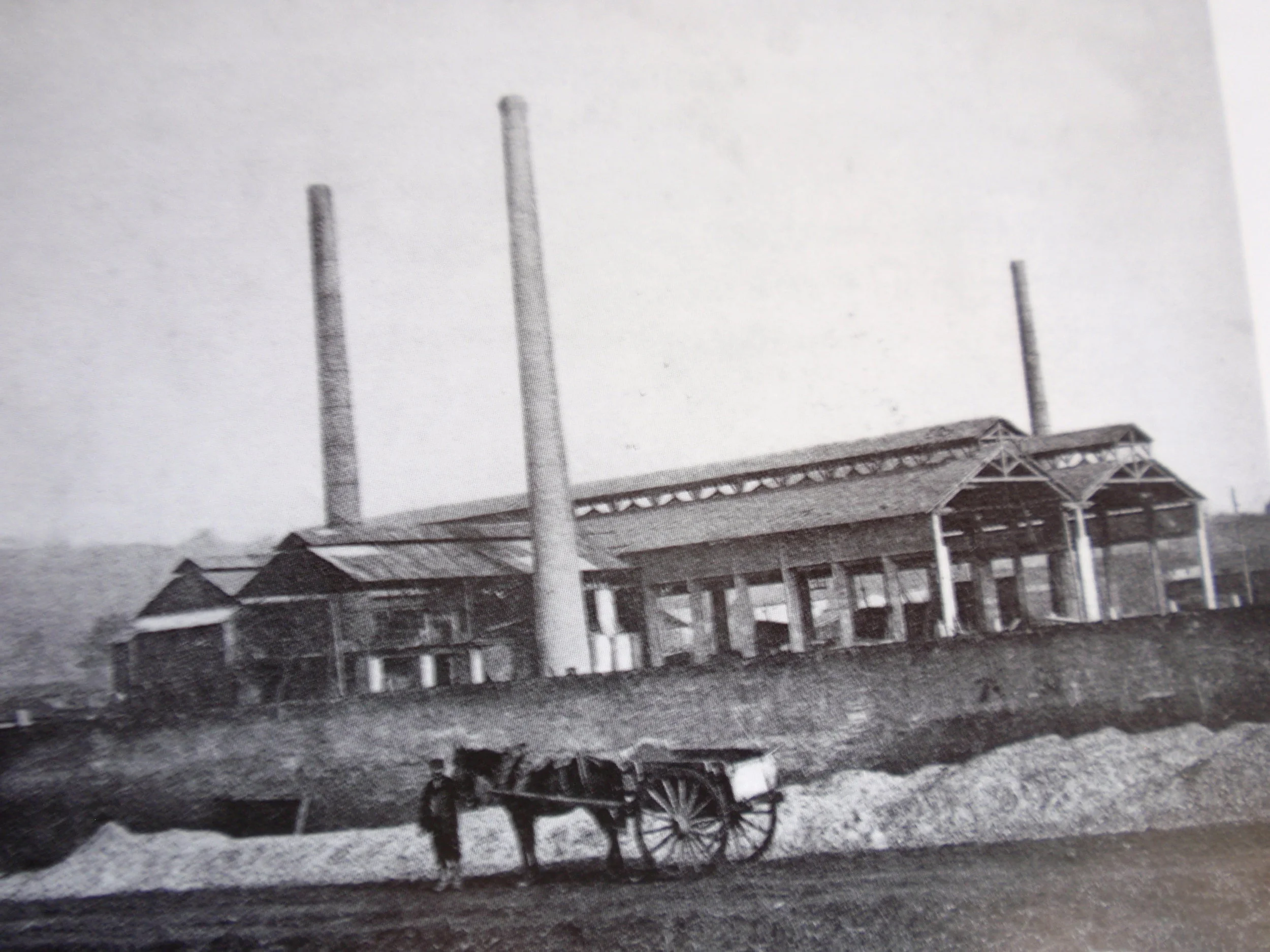 Histoire de la famille Gouvy 