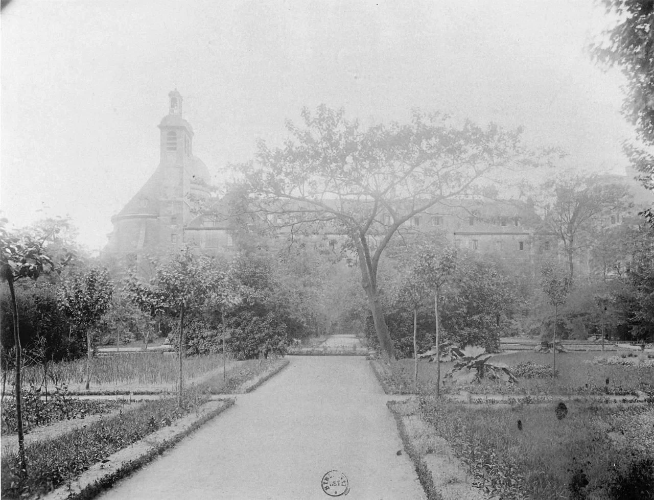 L'eau de Mélisse des Carmes, une eau salvatrice