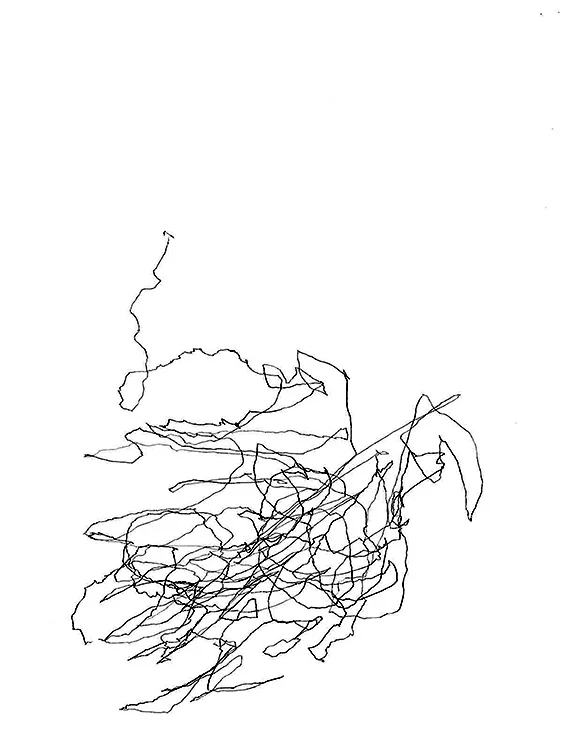 Lucie Schaeren, Itinéraire, stylo sur papier, 2016.