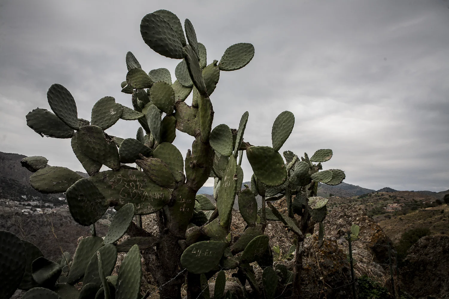 © Alberto Campi / Calabre, 2012