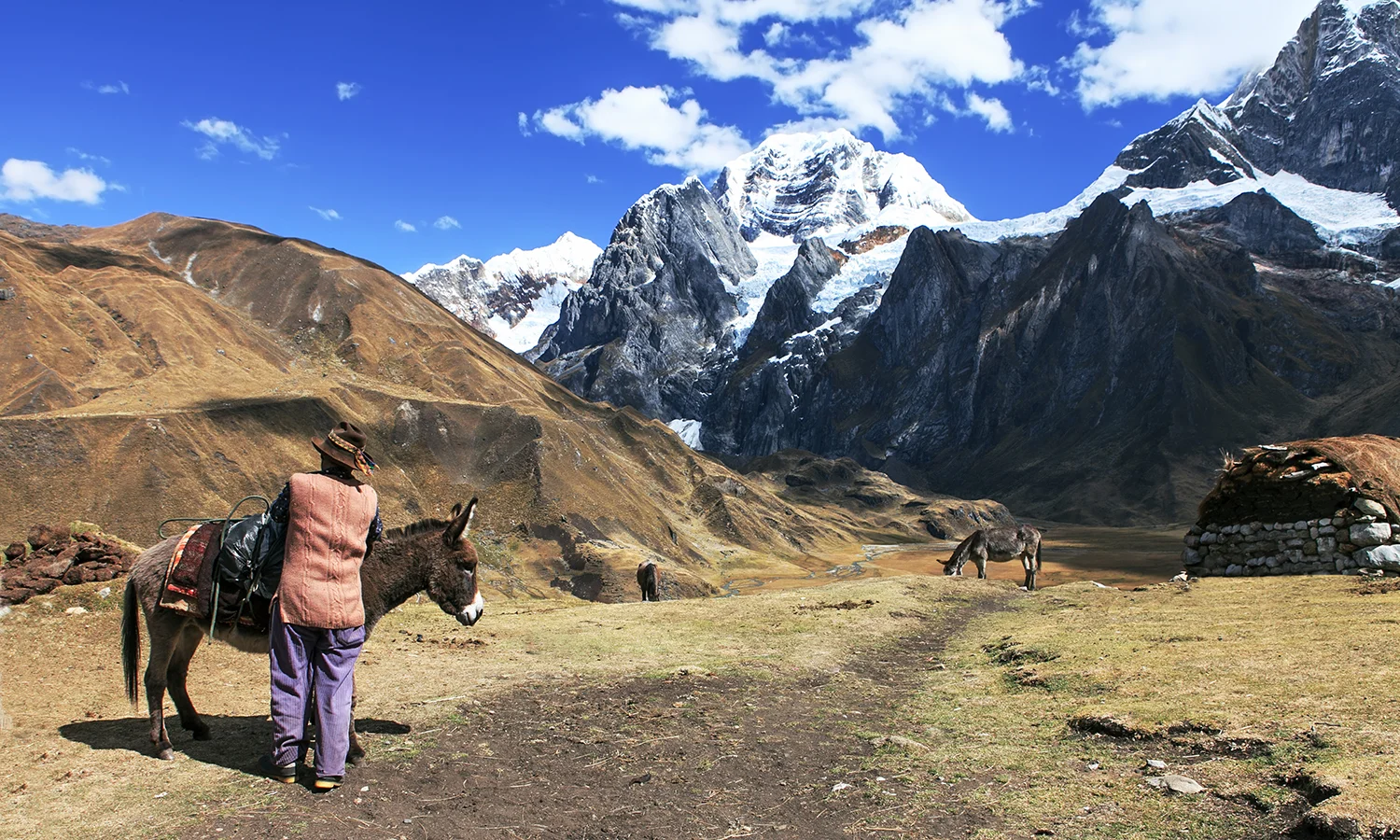«Mon prochain film sera sur la cordillère des Andes, un mur qui empêche que les choses se passent au Chili, qui enferme la pensée et garde les gens isolés.» © Charlotte Julie / Archives