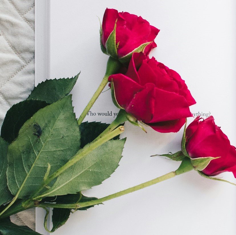 È nata in Abruzzo la prima rete mondiale dei messaggi d’amore. In tutte le lingue