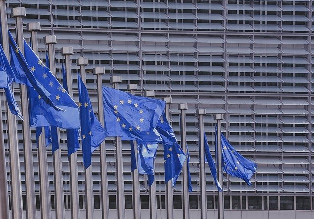 Elezioni per il rinnovo del Parlamento Europeo: come votare se si è cittadini italiani residenti in Svizzera