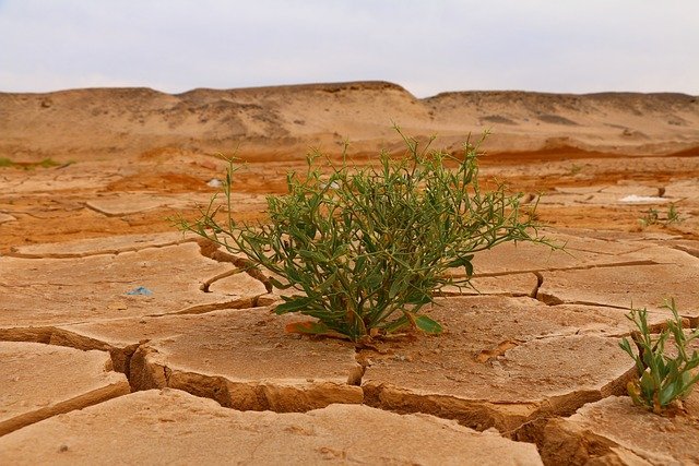 Cambiamento climatico, la Svizzera è più ecologica e sostenibile dell’Italia
