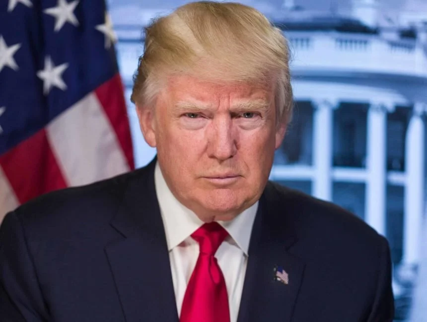 No one is above the law