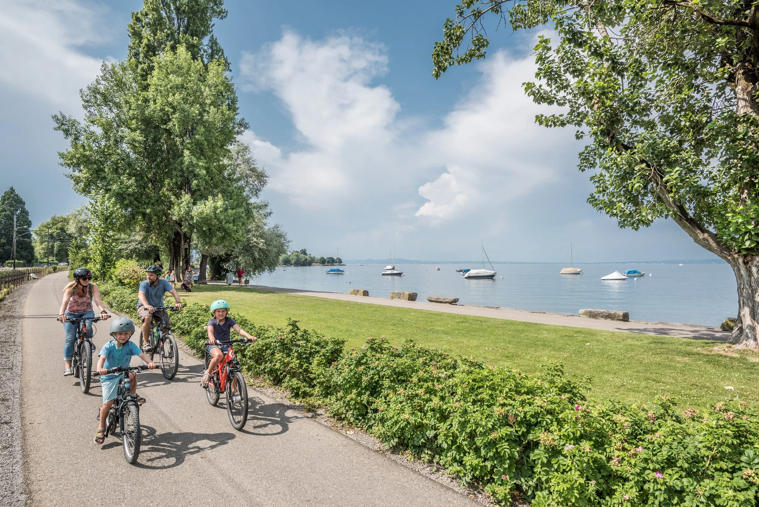 Passeggiando in bicicletta: la Ciclabile del Lago di Costanza compie 40 anni