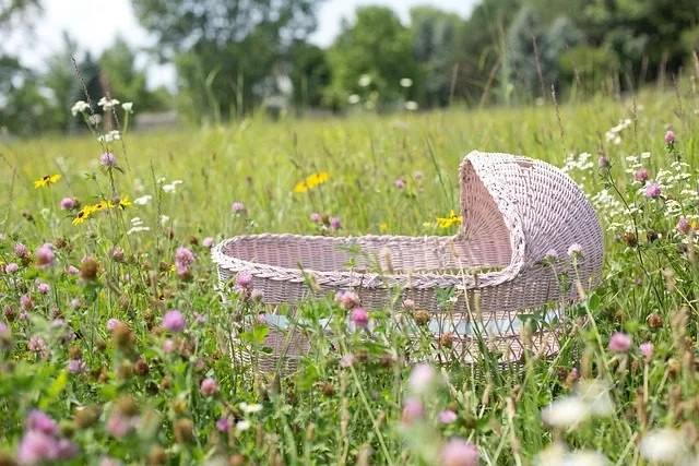 L’Italia, i giovani, le donne, il lavoro, i figli