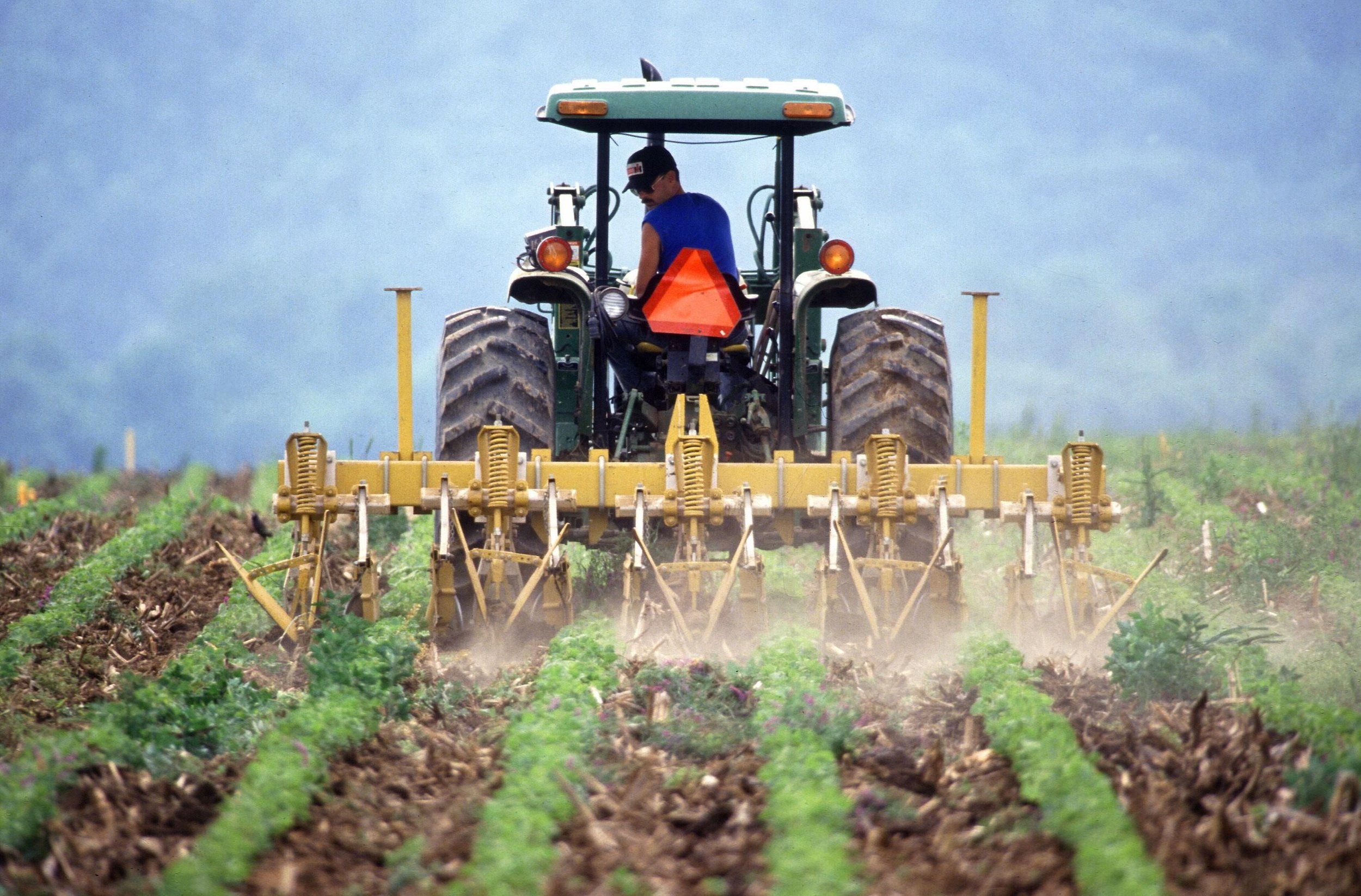 Gli assi nella manica dell’Italia, patria della dieta mediterranea