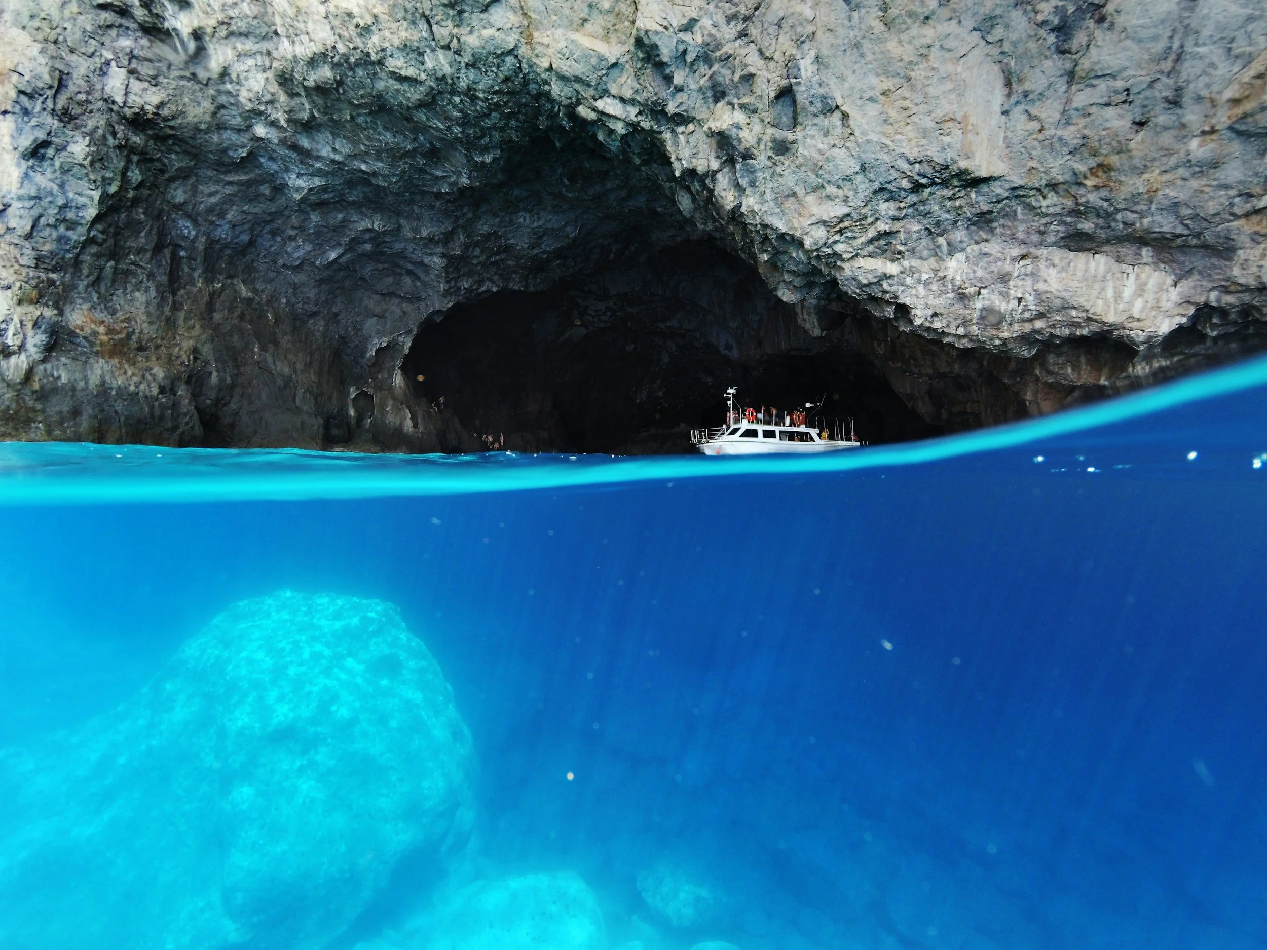 Allerta Mediterraneo, biodiversità a rischio