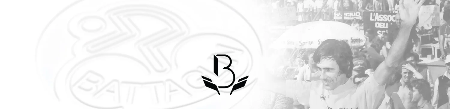 battaglin_cicli_2.jpg