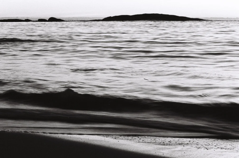 Asteria Malinzi_151111_2.jpg