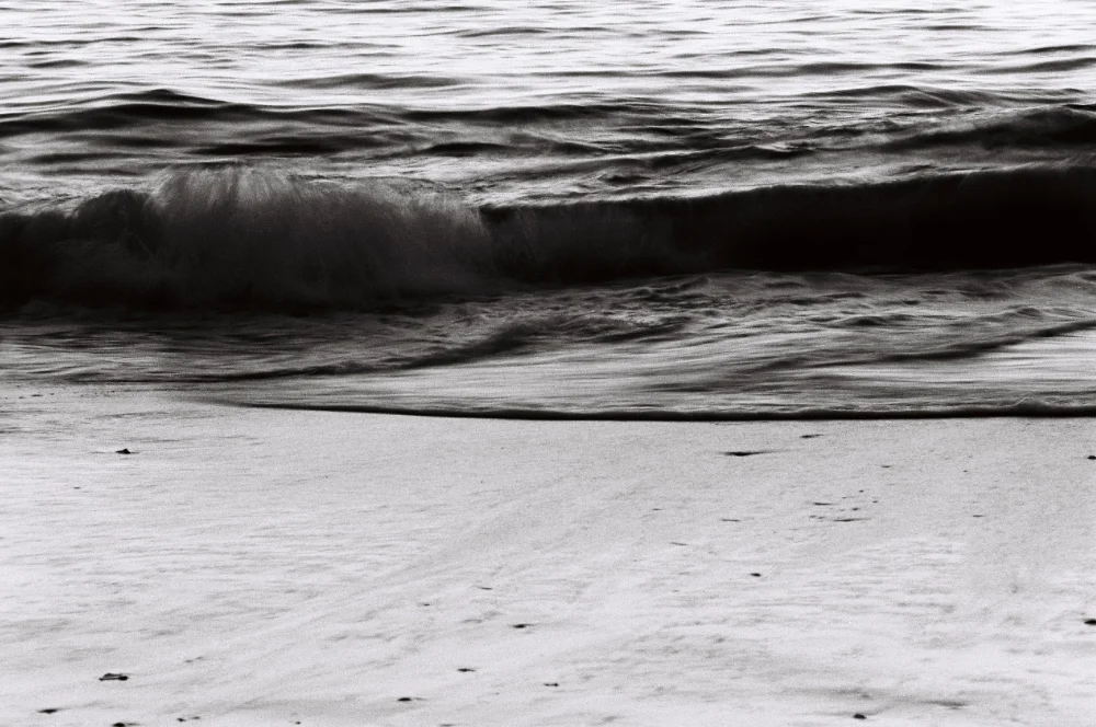 Asteria Malinzi_151111_3.jpg