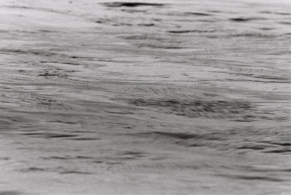 Asteria Malinzi_151111_10.jpg