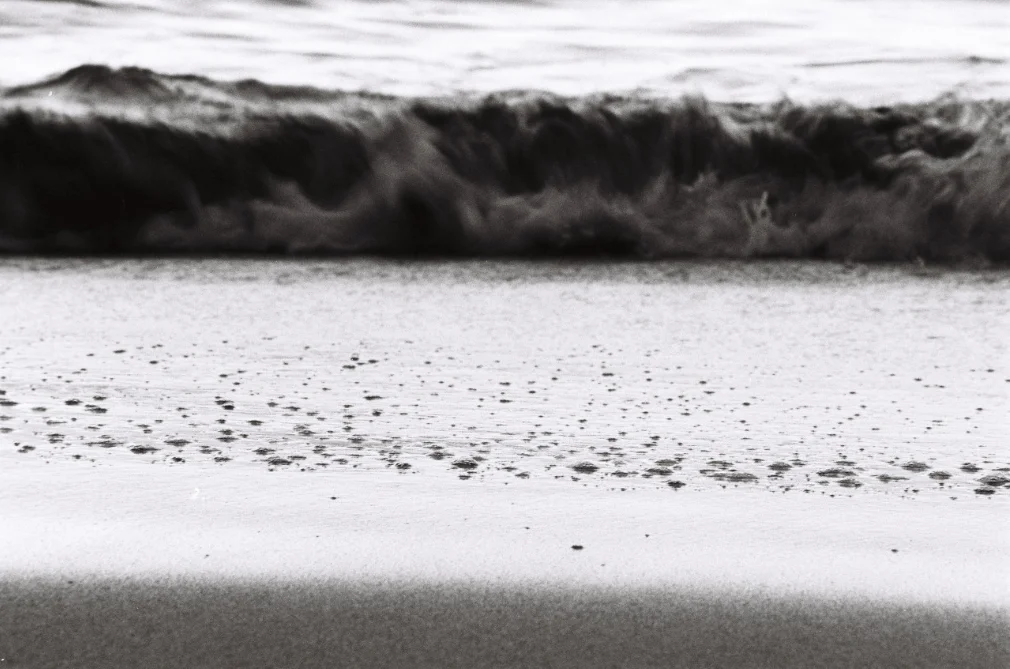 Asteria Malinzi_151111_11.jpg