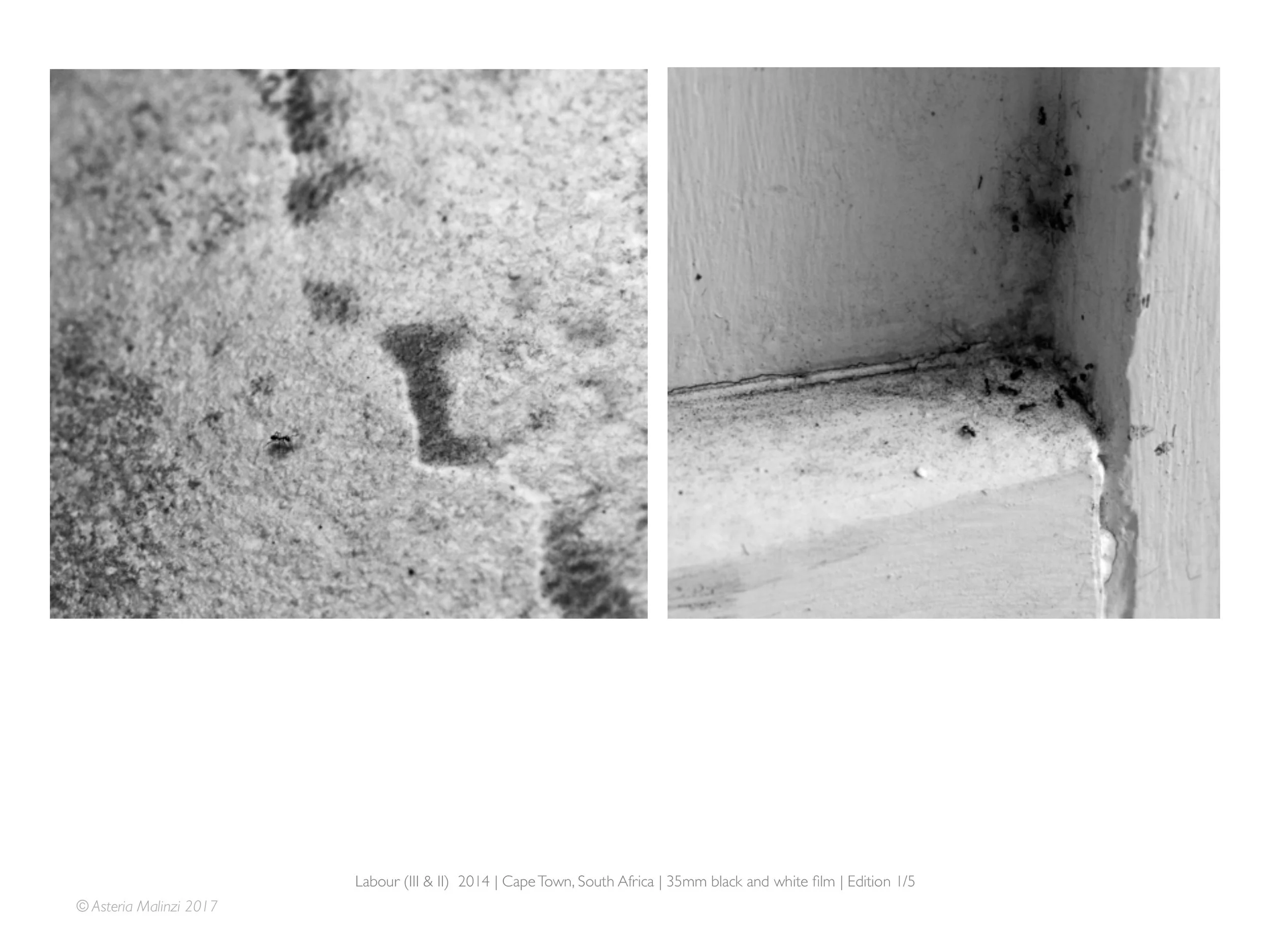 Asteria Malinzi - Fine Art Photographer (dragged) 15.jpg