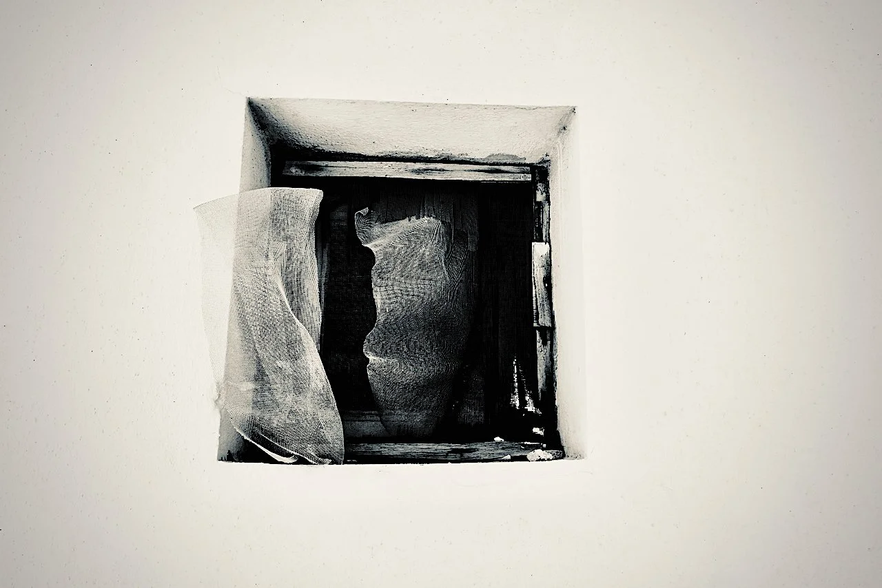 window of my mind #3