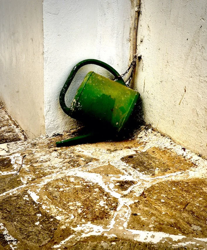 beware of the watering can