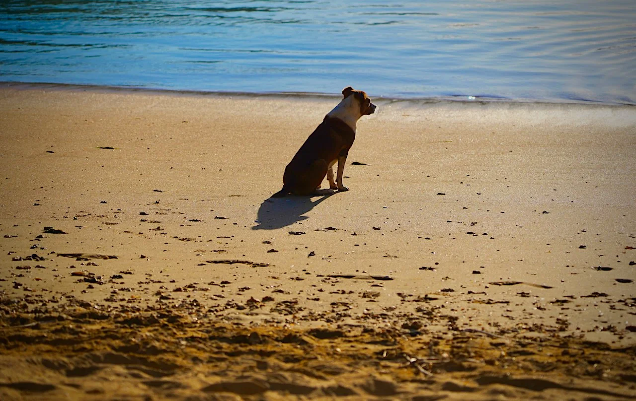 Beach - 20.jpeg