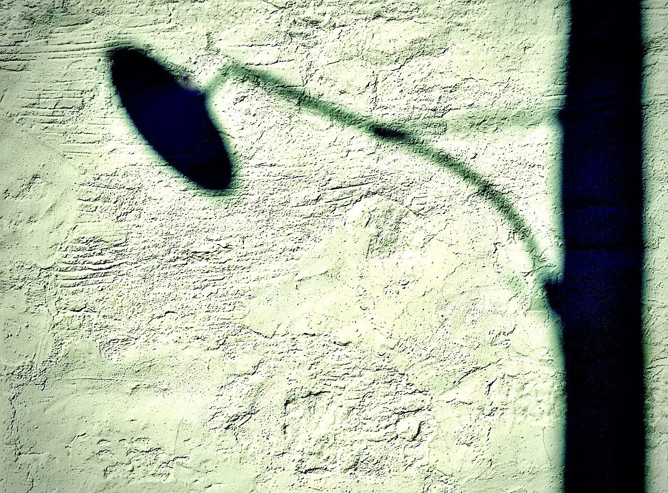 DSC00679.jpeg