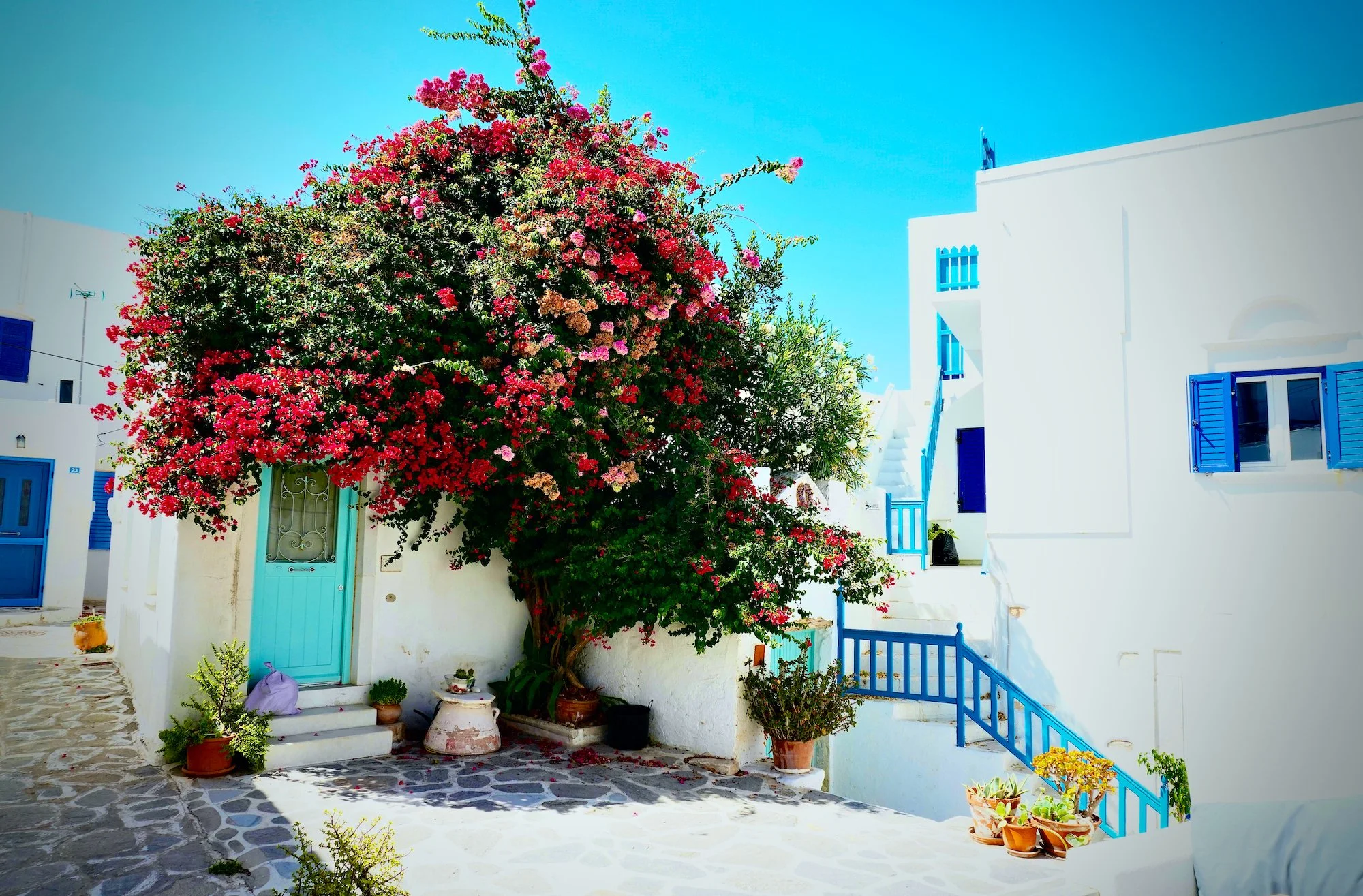 paros2026 - 3.jpeg