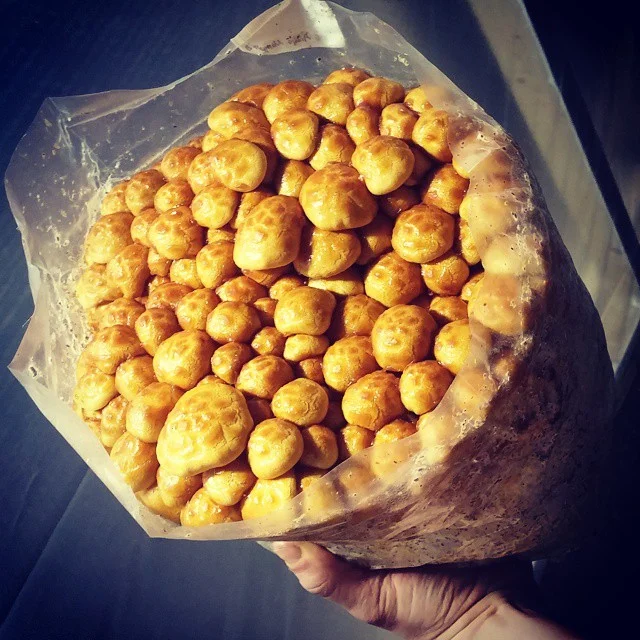 nameko canopy.jpg