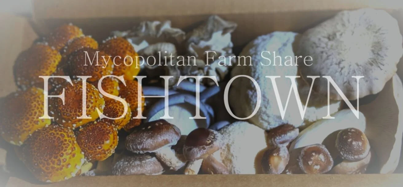 csafarmshare fishtown.JPG