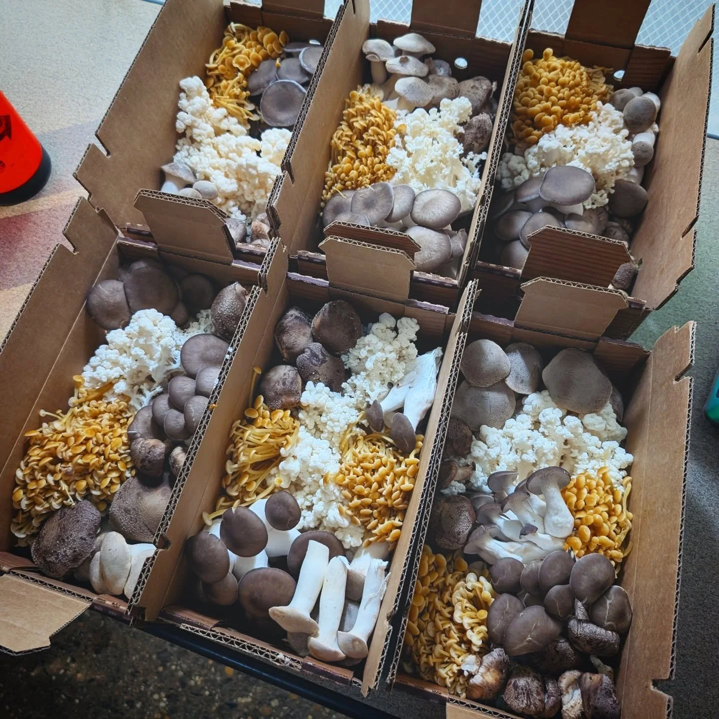 Fun #mycopolitanfarmshare boxes from earlier this week