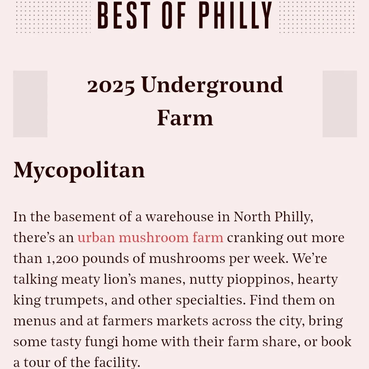 💕Thanks to @phillymag for recognizing our work in the extremely competitive 😹 category of Underground Farm! 

Seriously though, it feels good to get a little spotlight shone on our mushrooms and a little Philly love for our hardworking team. 

We l